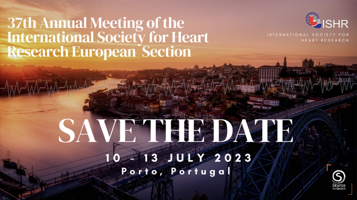 View of Porto at dusk